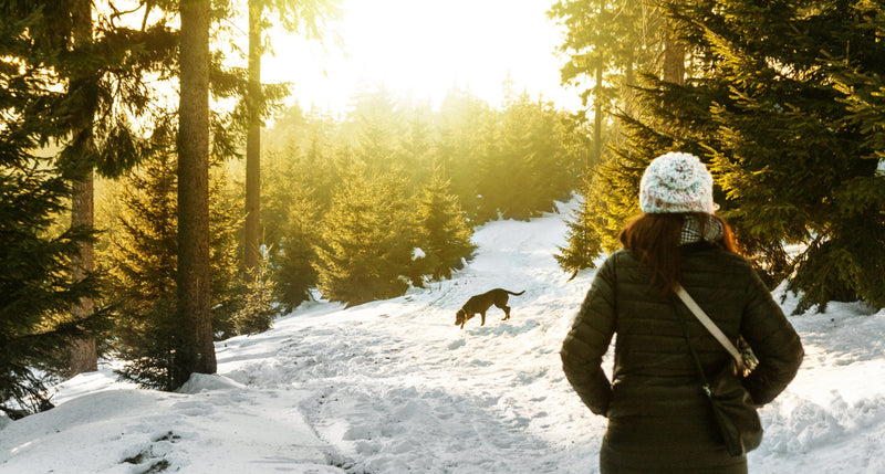 Fridhult – Utstyrt for nordiske vintre.